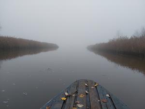 Tisza-tó_2022_01